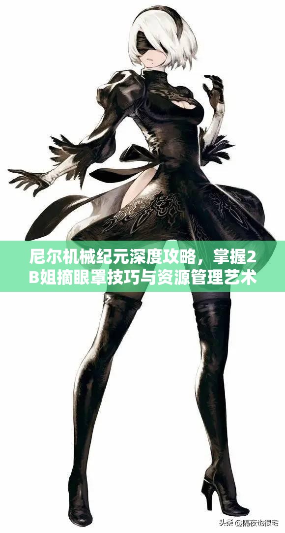尼尔机械纪元深度攻略，掌握2B姐摘眼罩技巧与资源管理艺术