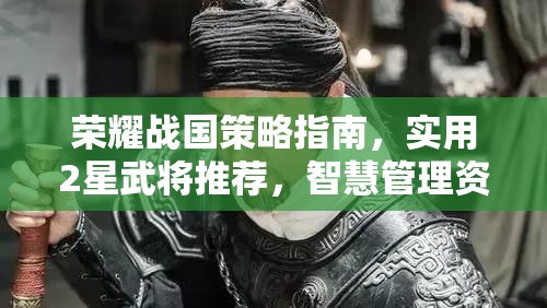 荣耀战国策略指南，实用2星武将推荐，智慧管理资源以制胜之道