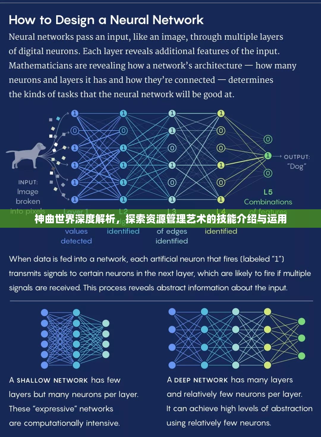 神曲世界深度解析，探索资源管理艺术的技能介绍与运用