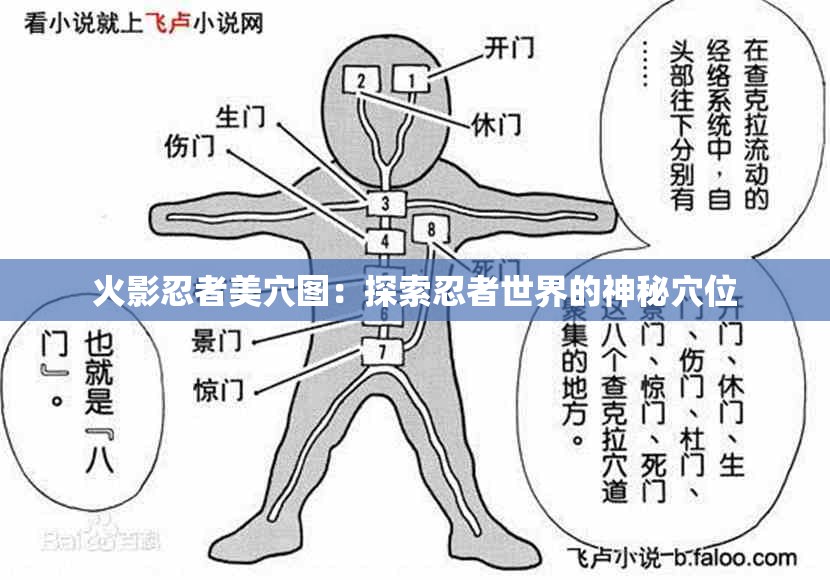 火影忍者美穴图：探索忍者世界的神秘穴位
