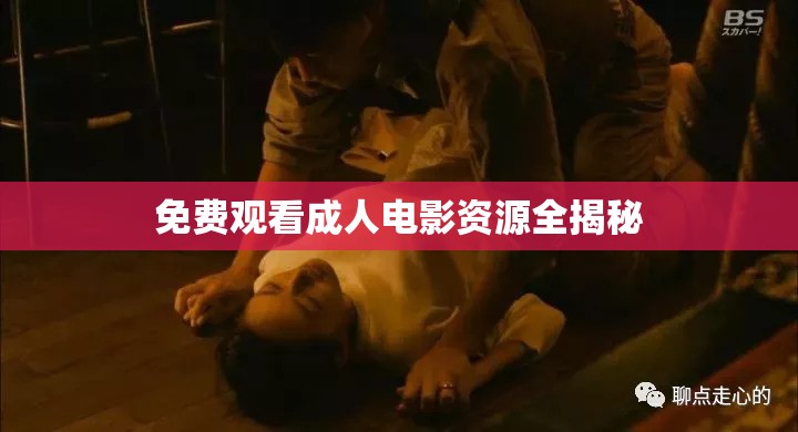 免费观看成人电影资源全揭秘