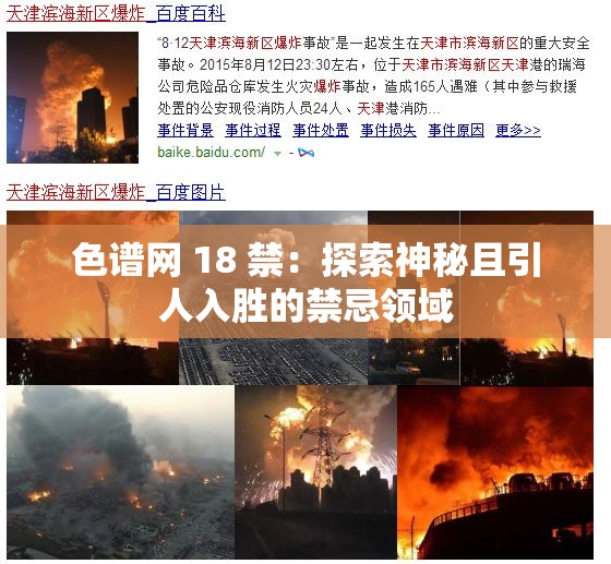 色谱网 18 禁：探索神秘且引人入胜的禁忌领域