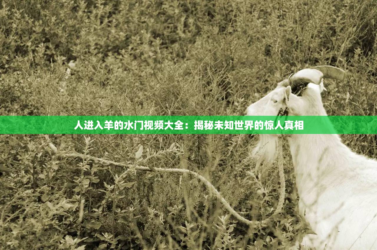 人进入羊的水门视频大全：揭秘未知世界的惊人真相