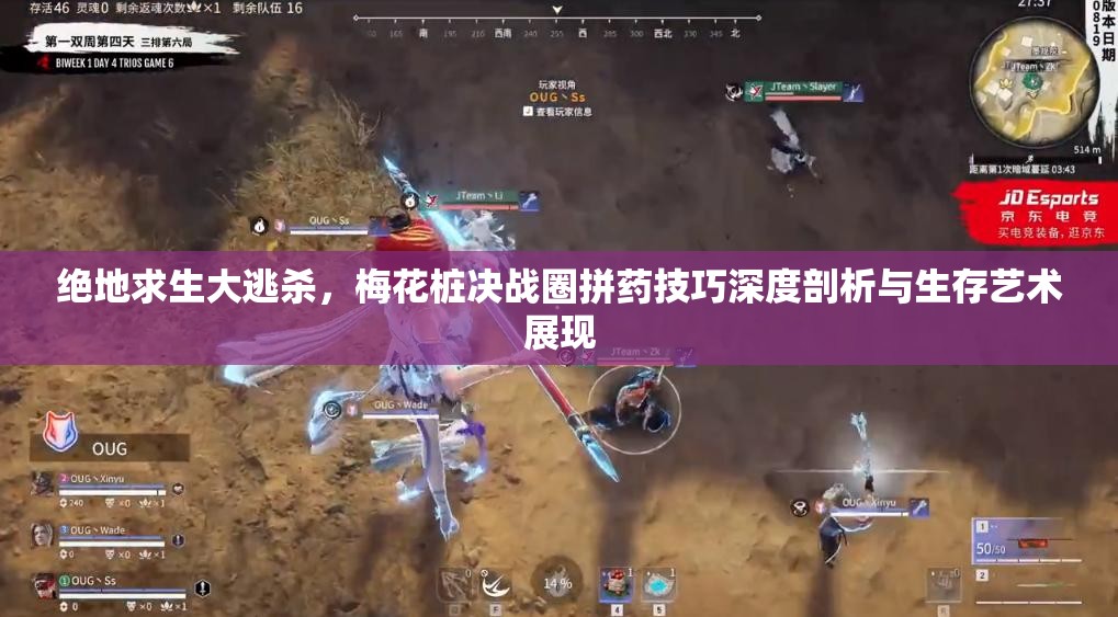 绝地求生大逃杀，梅花桩决战圈拼药技巧深度剖析与生存艺术展现