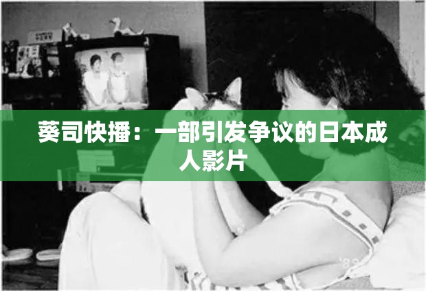 葵司快播：一部引发争议的日本成人影片