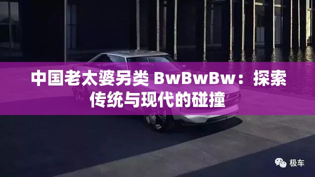 中国老太婆另类 BwBwBw：探索传统与现代的碰撞