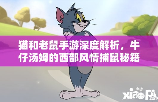猫和老鼠手游深度解析，牛仔汤姆的西部风情捕鼠秘籍大揭秘