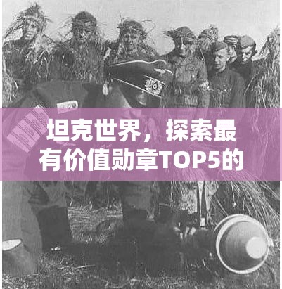坦克世界，探索最有价值勋章TOP5的深度解析与高效资源管理策略