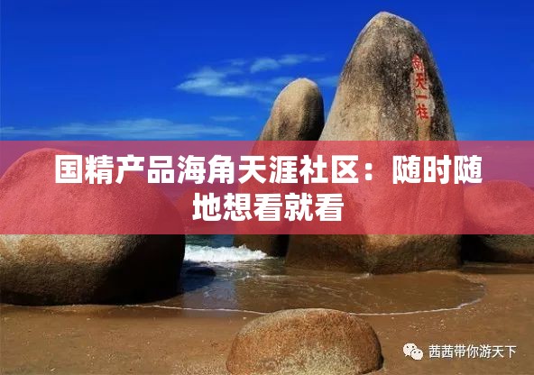 国精产品海角天涯社区：随时随地想看就看