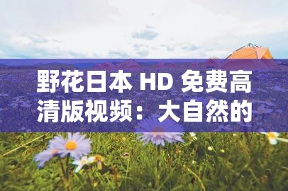 野花日本 HD 免费高清版视频：大自然的精灵在镜头下绽放