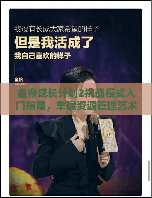 皇帝成长计划2挑战模式入门指南，掌握资源管理艺术，策略致胜之道