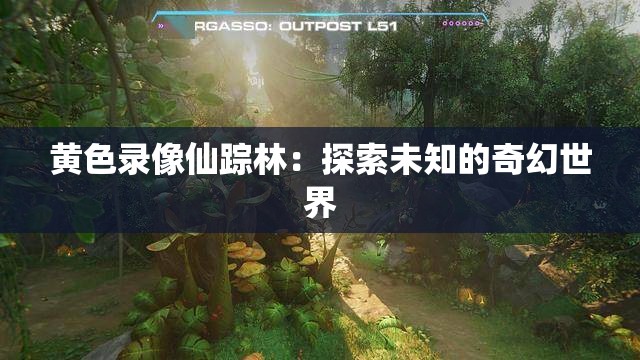 黄色录像仙踪林：探索未知的奇幻世界