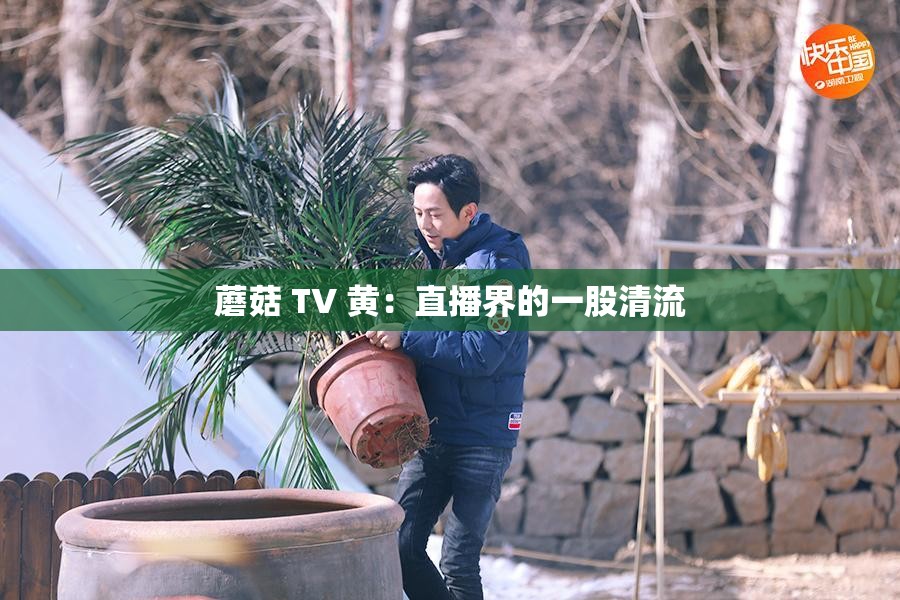 蘑菇 TV 黄：直播界的一股清流