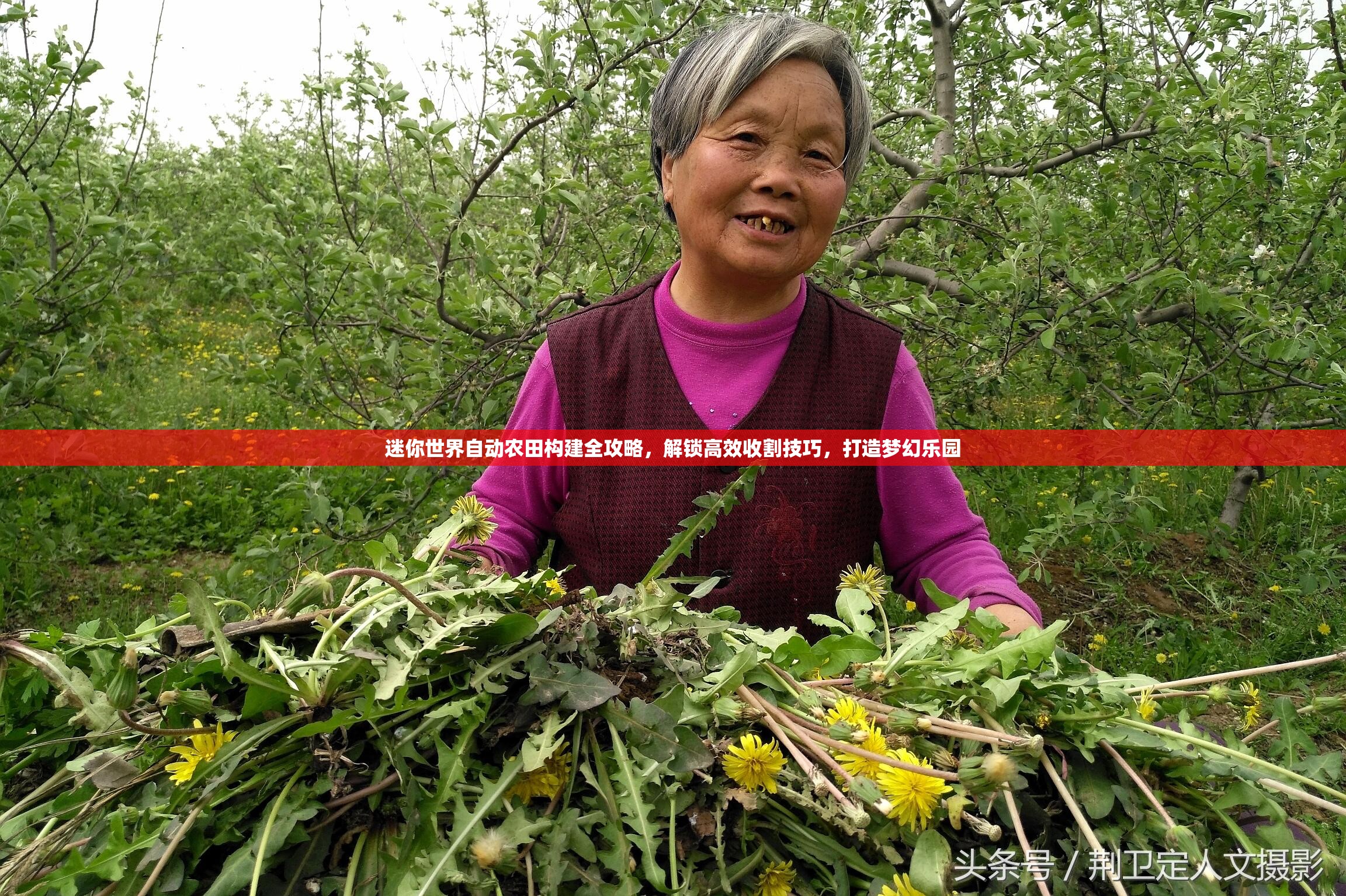 迷你世界自动农田构建全攻略，解锁高效收割技巧，打造梦幻乐园