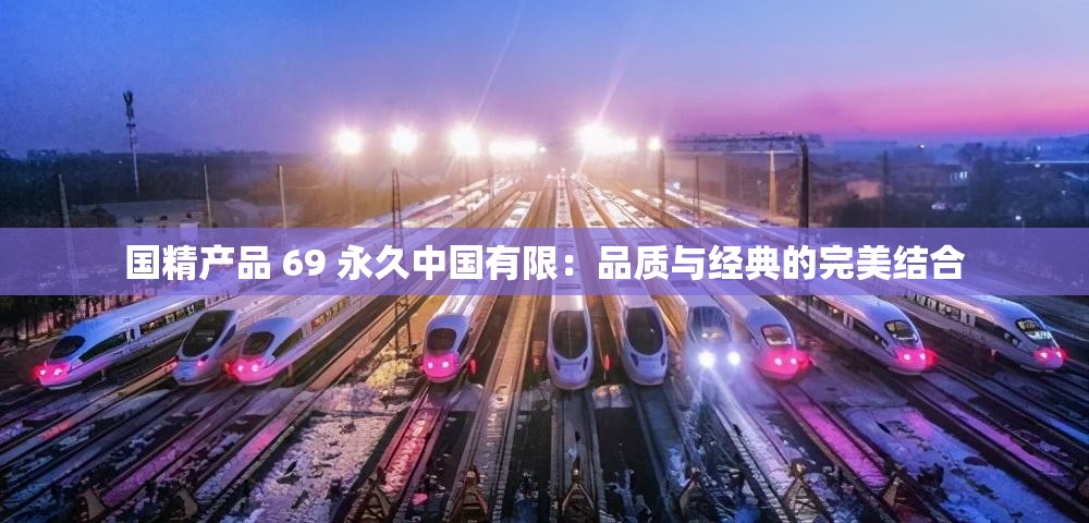 国精产品 69 永久中国有限：品质与经典的完美结合