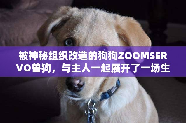 被神秘组织改造的狗狗ZOOMSERVO兽狗，与主人一起展开了一场生死逃亡之路