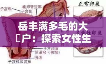 岳丰满多毛的大隂户：探索女性生殖器官的奥秘