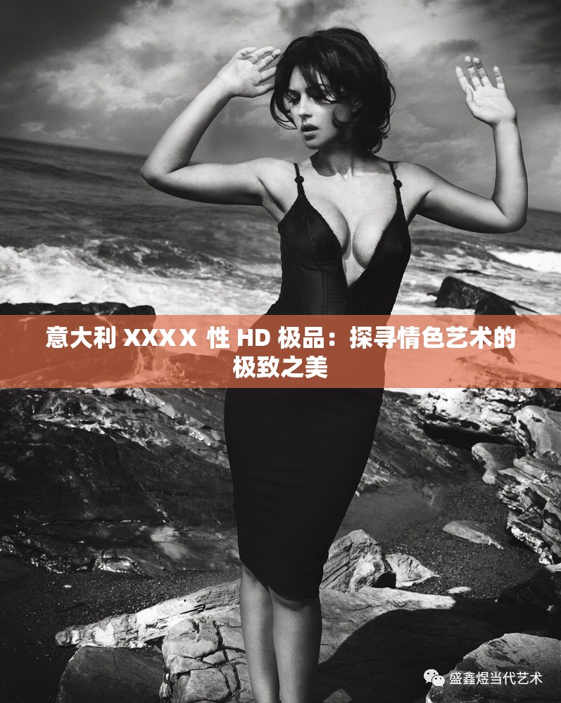 意大利 XXXⅩ 性 HD 极品：探寻情色艺术的极致之美