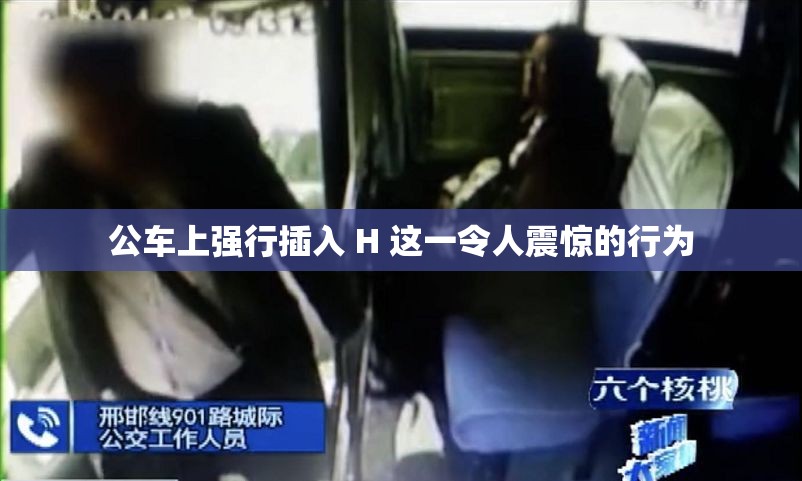 公车上强行插入 H 这一令人震惊的行为