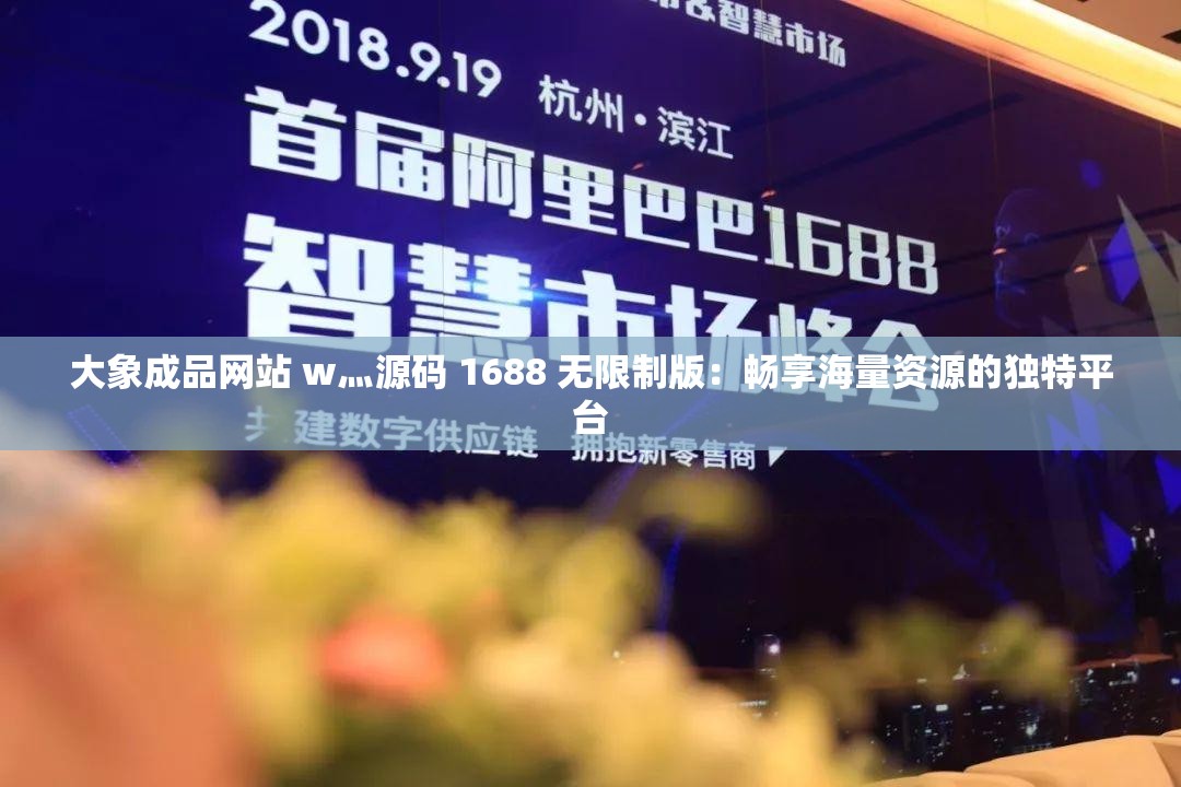 大象成品网站 w灬源码 1688 无限制版：畅享海量资源的独特平台