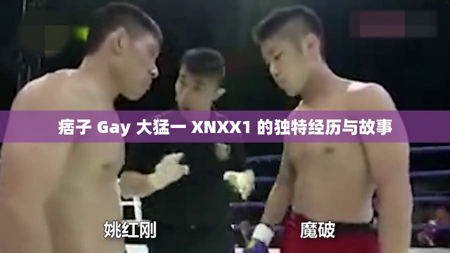 痞子 Gay 大猛一 XNXX1 的独特经历与故事