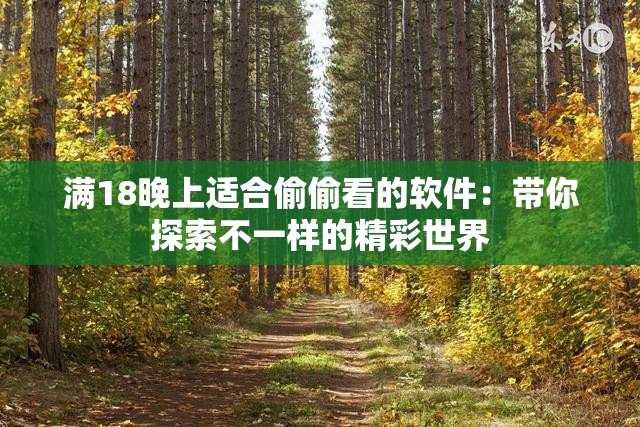 满18晚上适合偷偷看的软件：带你探索不一样的精彩世界