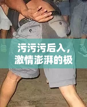 污污污后入，激情澎湃的极致体验