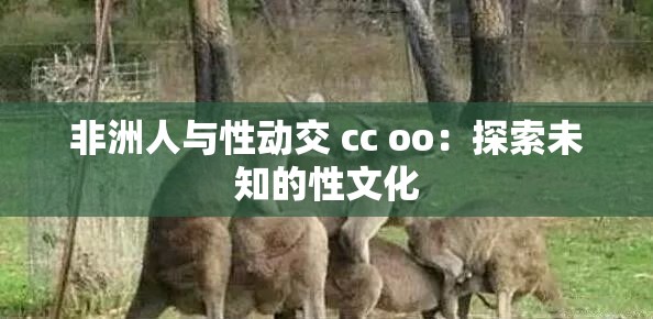 非洲人与性动交 cc oo：探索未知的性文化