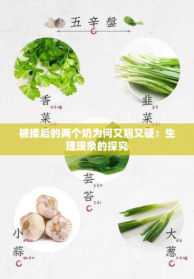 被揉后的两个奶为何又翘又硬：生理现象的探究