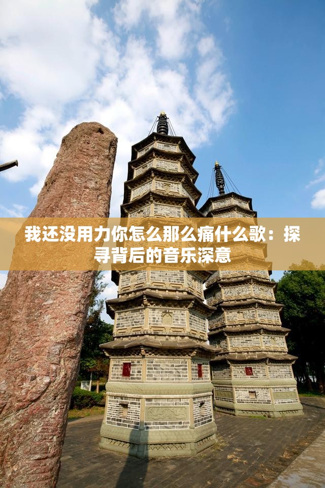 我还没用力你怎么那么痛什么歌：探寻背后的音乐深意
