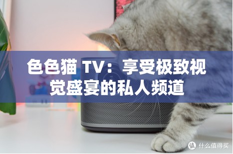 色色猫 TV：享受极致视觉盛宴的私人频道
