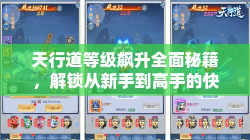 天行道等级飙升全面秘籍，解锁从新手到高手的快速蜕变之旅