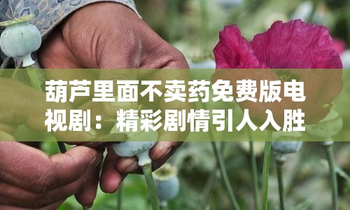 葫芦里面不卖药免费版电视剧：精彩剧情引人入胜
