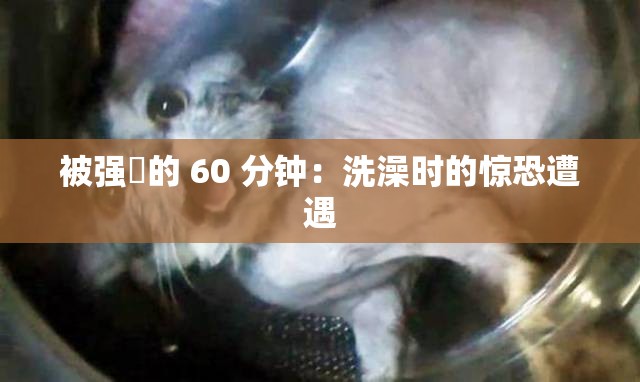 被强奷的 60 分钟：洗澡时的惊恐遭遇