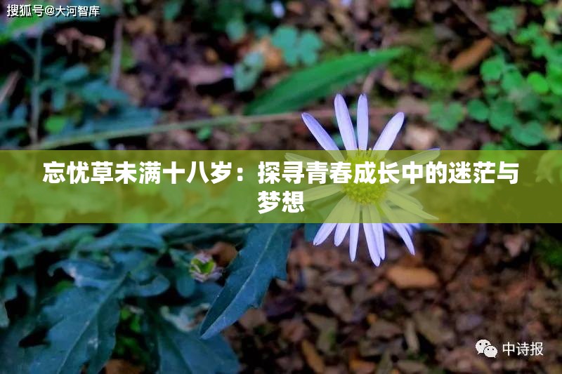 忘忧草未满十八岁：探寻青春成长中的迷茫与梦想