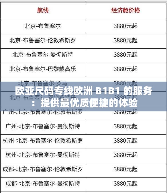 欧亚尺码专线欧洲 B1B1 的服务：提供最优质便捷的体验