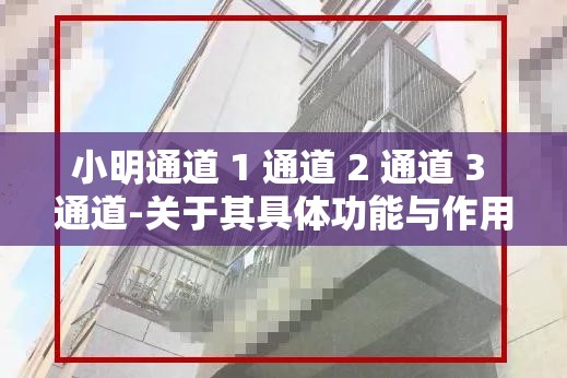 小明通道 1 通道 2 通道 3 通道-关于其具体功能与作用的探讨