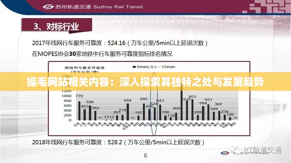 操毛网站相关内容：深入探索其独特之处与发展趋势