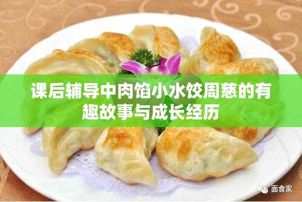 课后辅导中肉馅小水饺周慈的有趣故事与成长经历