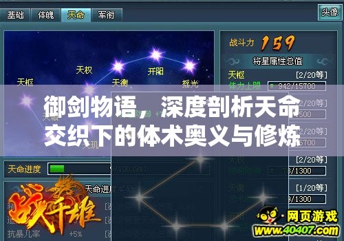 御剑物语，深度剖析天命交织下的体术奥义与修炼精髓