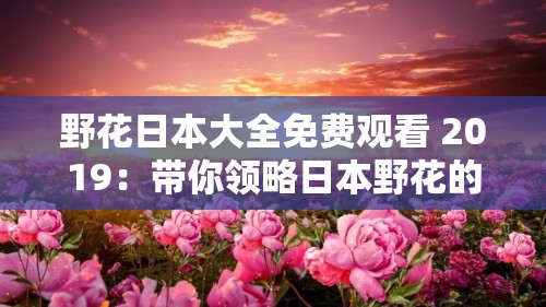 野花日本大全免费观看 2019：带你领略日本野花的魅力