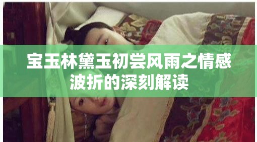 宝玉林黛玉初尝风雨之情感波折的深刻解读