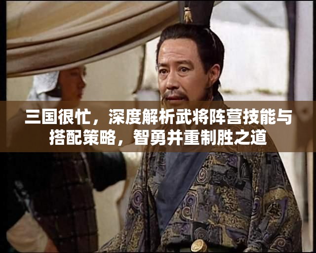 三国很忙，深度解析武将阵营技能与搭配策略，智勇并重制胜之道