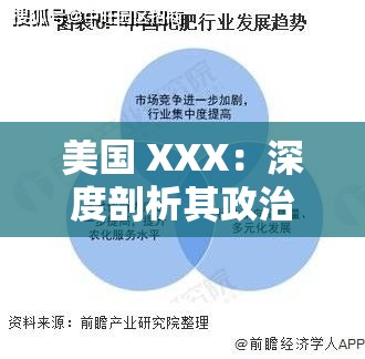 美国 XXX：深度剖析其政治经济与社会发展趋势