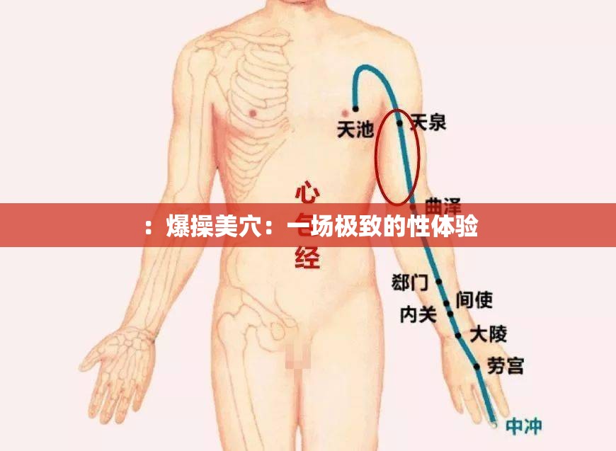 ：爆操美穴：一场极致的性体验