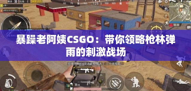 暴躁老阿姨CSGO：带你领略枪林弹雨的刺激战场