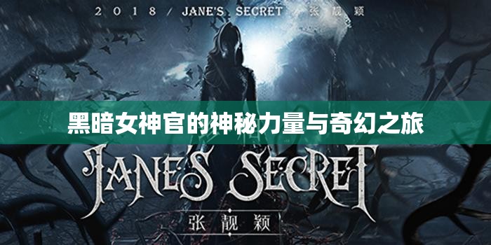 黑暗女神官的神秘力量与奇幻之旅