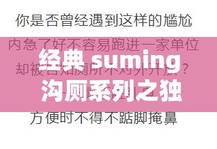 经典 suming 沟厕系列之独特魅力与深刻内涵探讨
