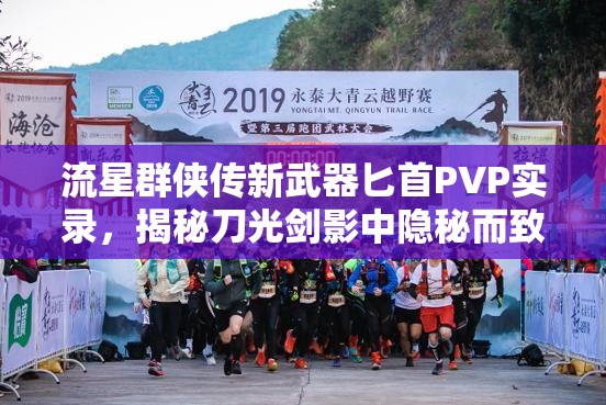 流星群侠传新武器匕首PVP实录，揭秘刀光剑影中隐秘而致命的杀手
