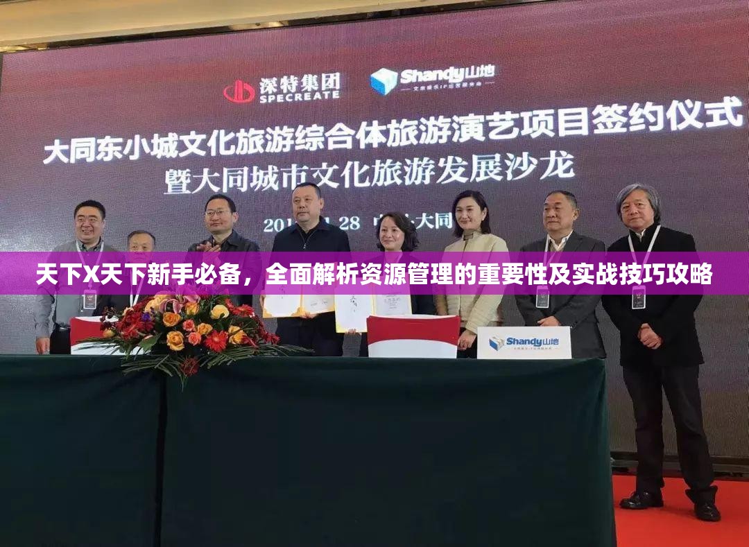 天下X天下新手必备，全面解析资源管理的重要性及实战技巧攻略